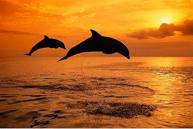 卡普空新作《虚实万象》新演示 与萝莉一起战斗